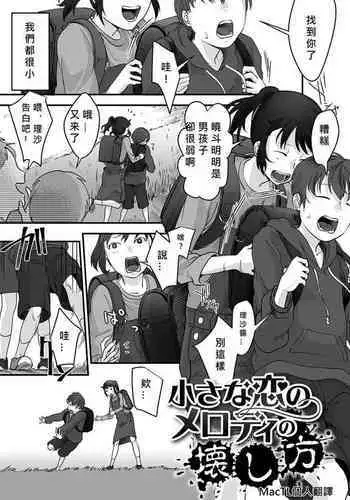 chīsana koi no merodi no kowashi kata