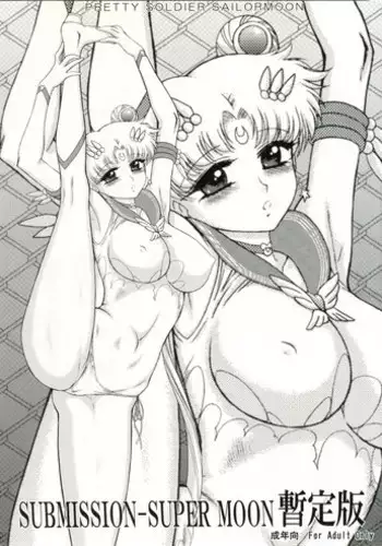 (C82) [BLACK DOG (Kuroinu Juu)] SUBMISSION-SUPER MOON Zanteiban (Bishoujo Senshi Sailor Moon)