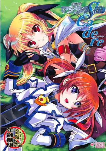 (COMIC1☆13) [PLUM (Kanna)] Mahou Shoujo Magical SEED Cadere (Mahou Shoujo Lyrical Nanoha)