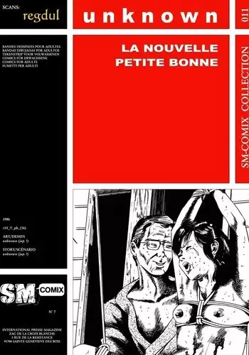 La nouvelle petite bonne