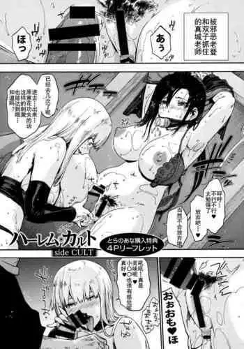 Harem Cult side CULT Toranoana Kounyu Tokuten 4P Leaflet + Melonbooks Tokuten