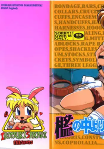 [Irotsuki Sakari] Ori no Nakayori Ai wo Komete